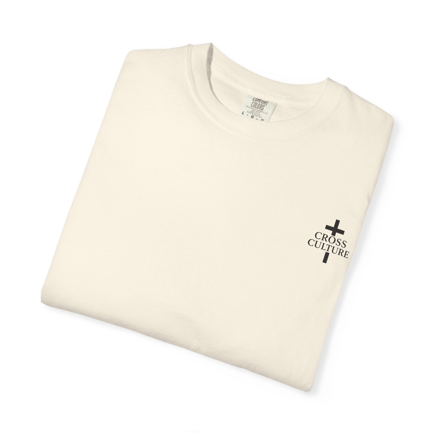 Faith Can Move Mountains — Matthew 17:20